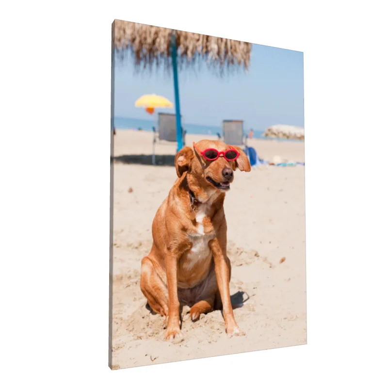 Tablou canvas: Câine cu Ochelari de Soare pe Plajă