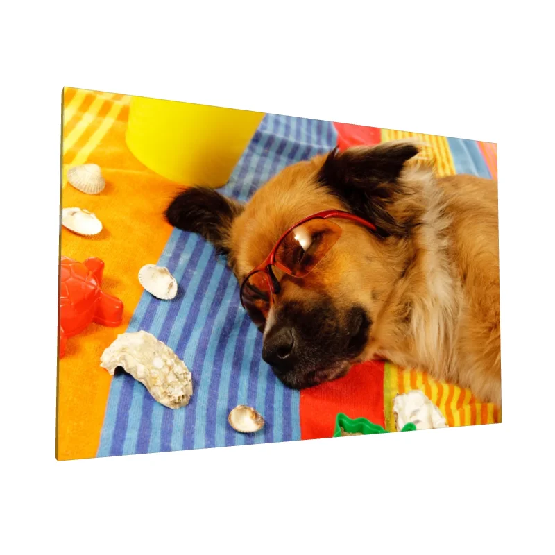Tablou canvas: Câine Relaxat pe Plajă cu Ochelari