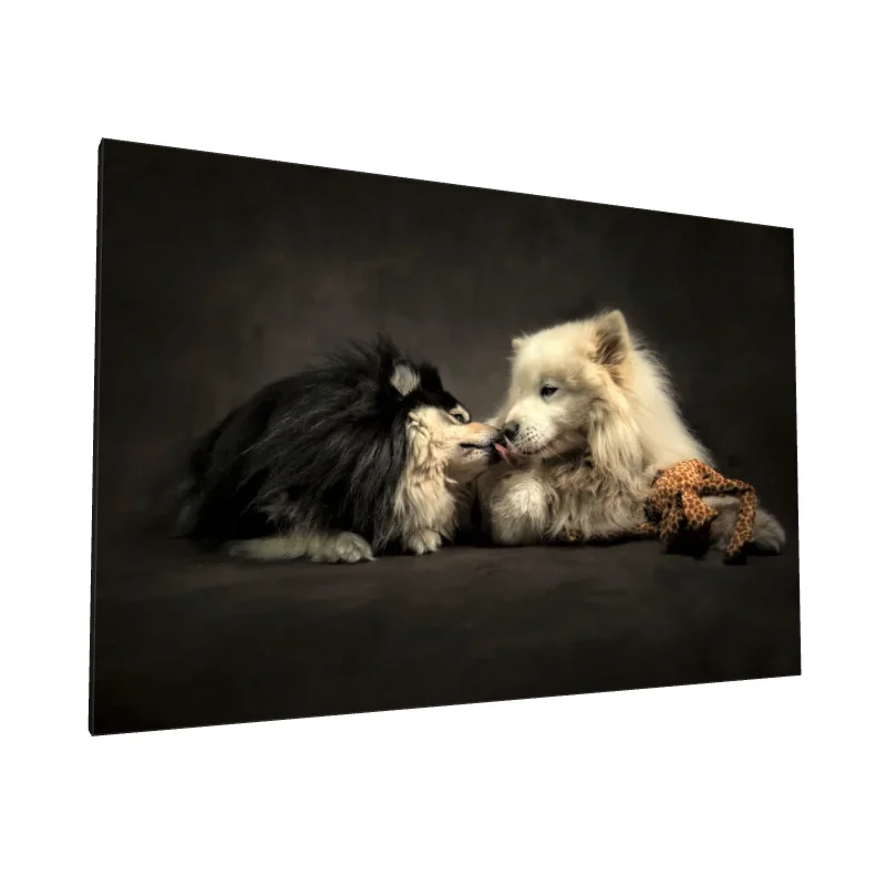 Tablou canvas: Doi Câini Îndrăgostiți cu Jucărie - Image 1