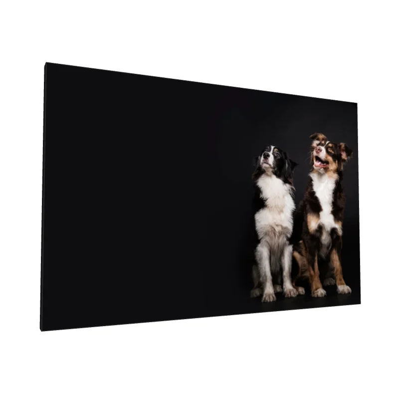 Tablou canvas: Portret Câini pe Fundal Negru - Image 1