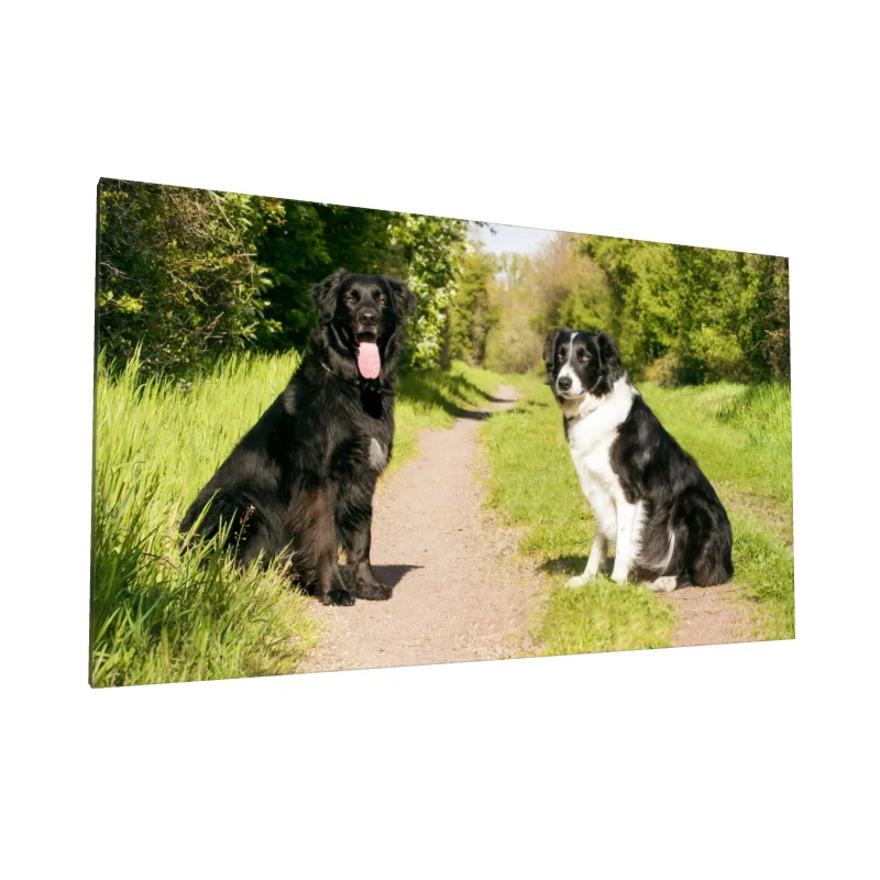 Tablou canvas: Câini pe Cărare Verde - Image 1