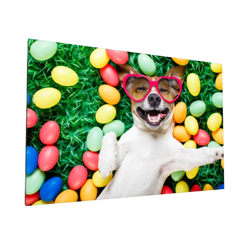 Tablou canvas: Câine Vesel cu Ochelari Roz și Ouă Colorate - Image 1