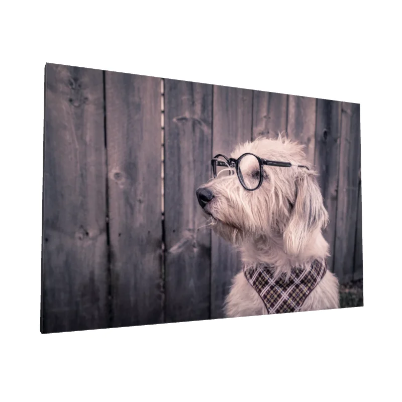 Tablou canvas: Câine cu Ochelari și Eșarfă Carouri