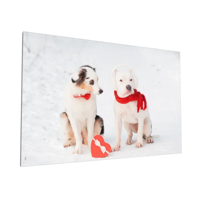 Tablou canvas: Câini Jucăuși în Zăpadă cu Accesorii Roșii