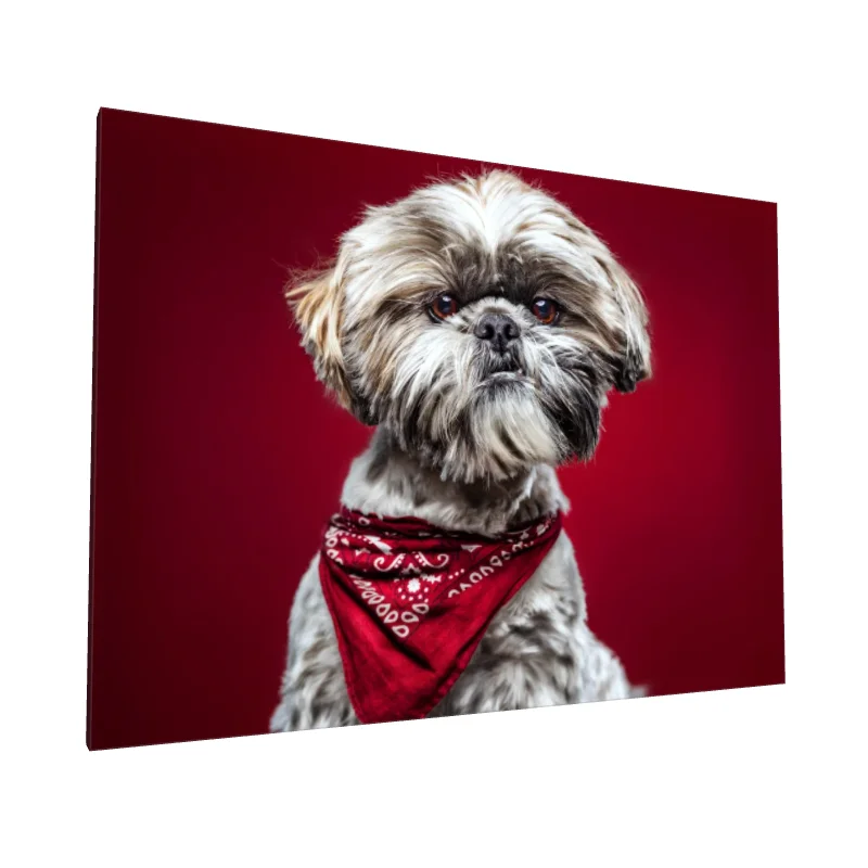 Tablou canvas: Portret Câine cu Bandană Roșie - Image 1