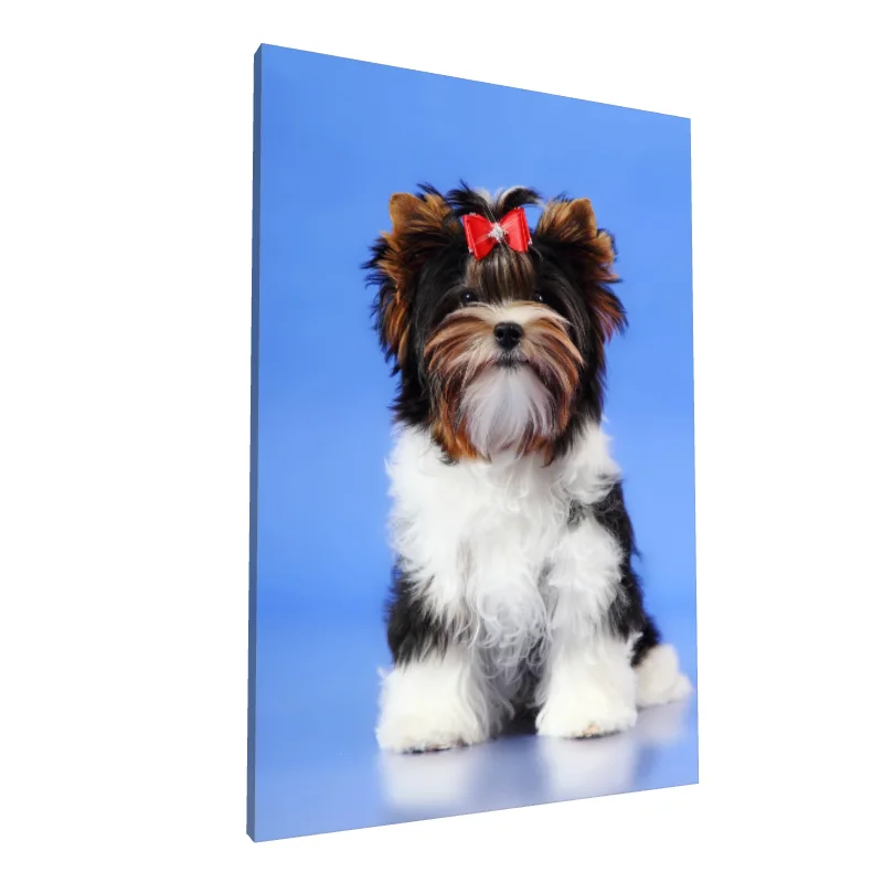 Tablou canvas: Cățeluș Drăgălaș cu Fundiță Roșie