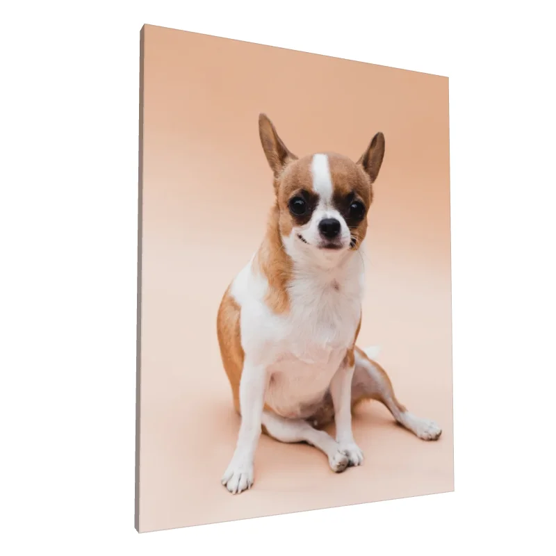 Tablou canvas: Portret Chihuahua pe Fundal Crem - Image 1