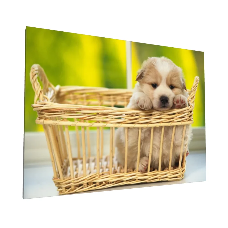 Tablou canvas: Cățeluș Adorabil în Coș de Ratan - Image 1