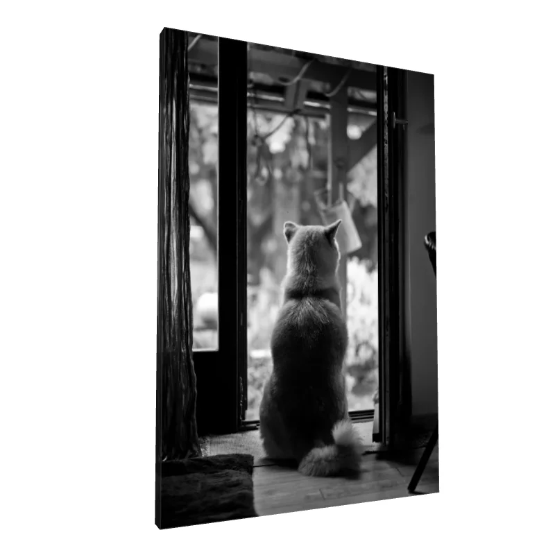 Tablou canvas: Câine Privind Peisajul în Alb-Negru - Image 1