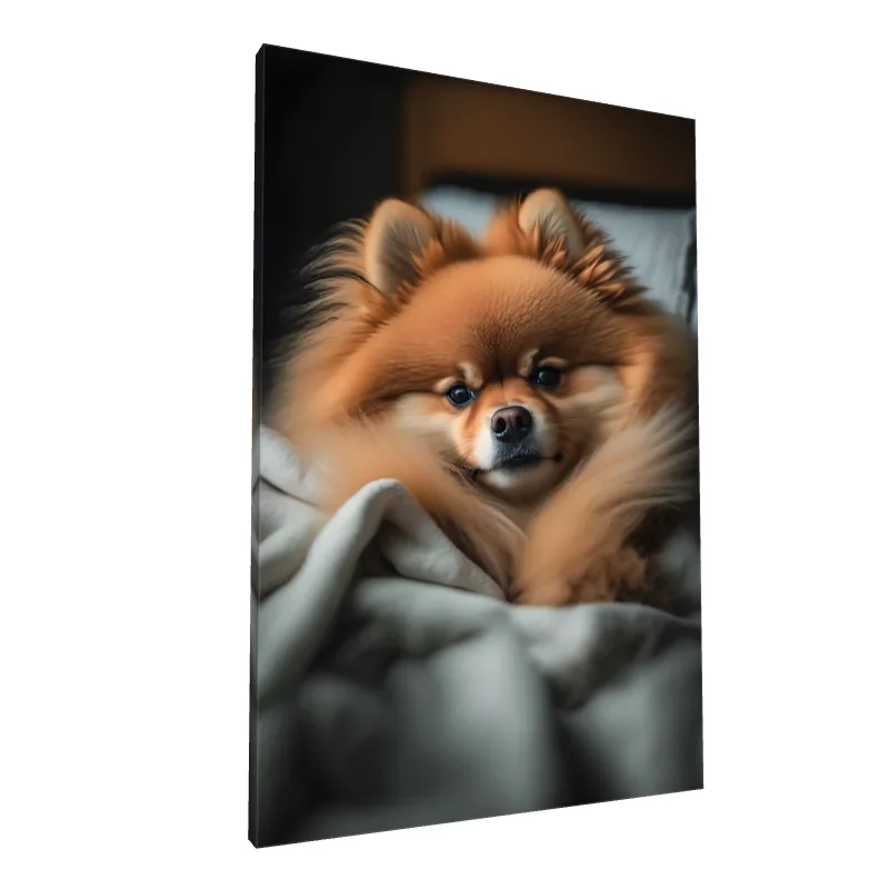 Tablou canvas: Pomeranian Drăgălaș în Culori Calde - Image 1