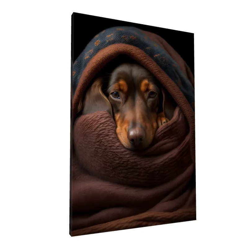 Tablou canvas: Cățel Dachshund Înfășurat în Pături - Image 1