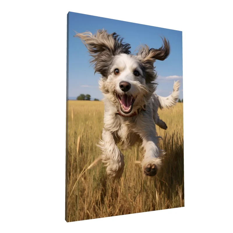 Tablou canvas: Câine Fericit în Câmp de Grâu