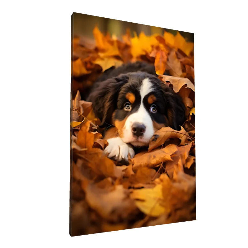 Tablou canvas: Cățel în Frunzele de Toamnă