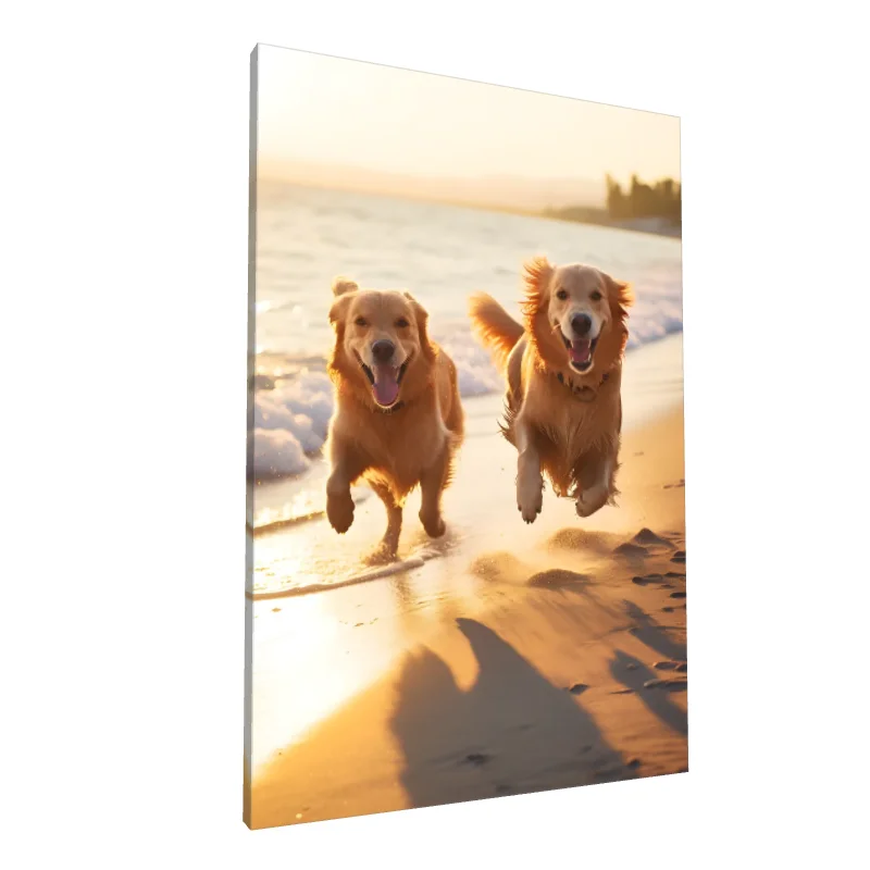 Tablou canvas: Câini Fericiți la Plajă în Amurg - Image 1