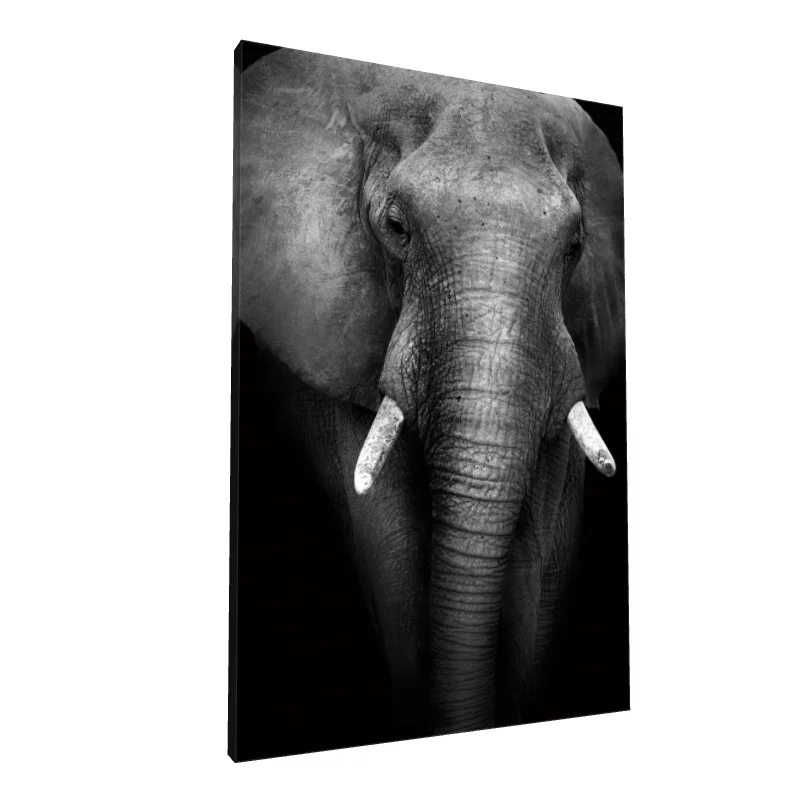 Tablou canvas: Portret Elefant Alb-Negru Detaliat - Image 1