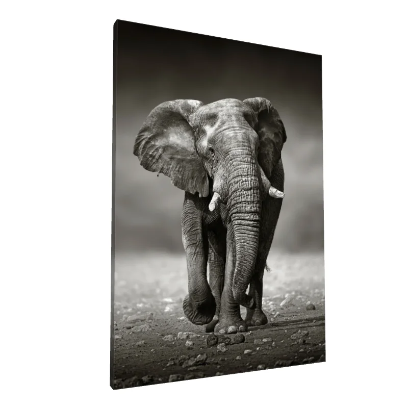 Tablou canvas: Elefant în Peisaj Monocrom
