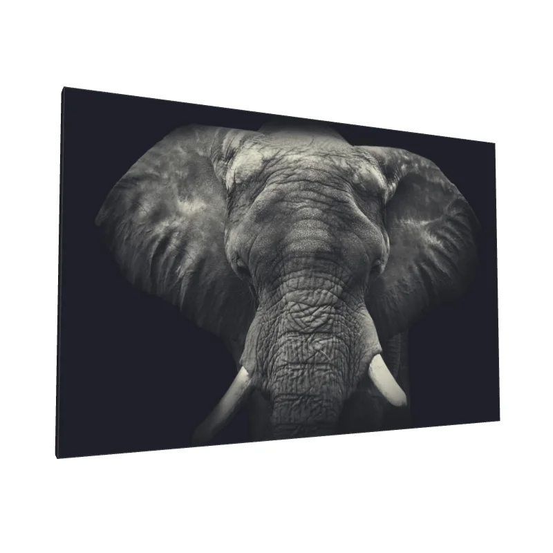 Tablou canvas: Portret de Elefant în Tonuri de Gri (2)