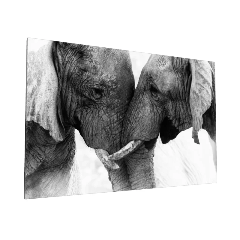 Tablou canvas: Îmbrățișare de Elefanți în Alb-Negru - Image 1