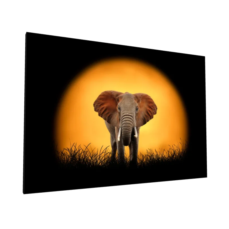 Tablou canvas: Elefant în Apus African - Image 1