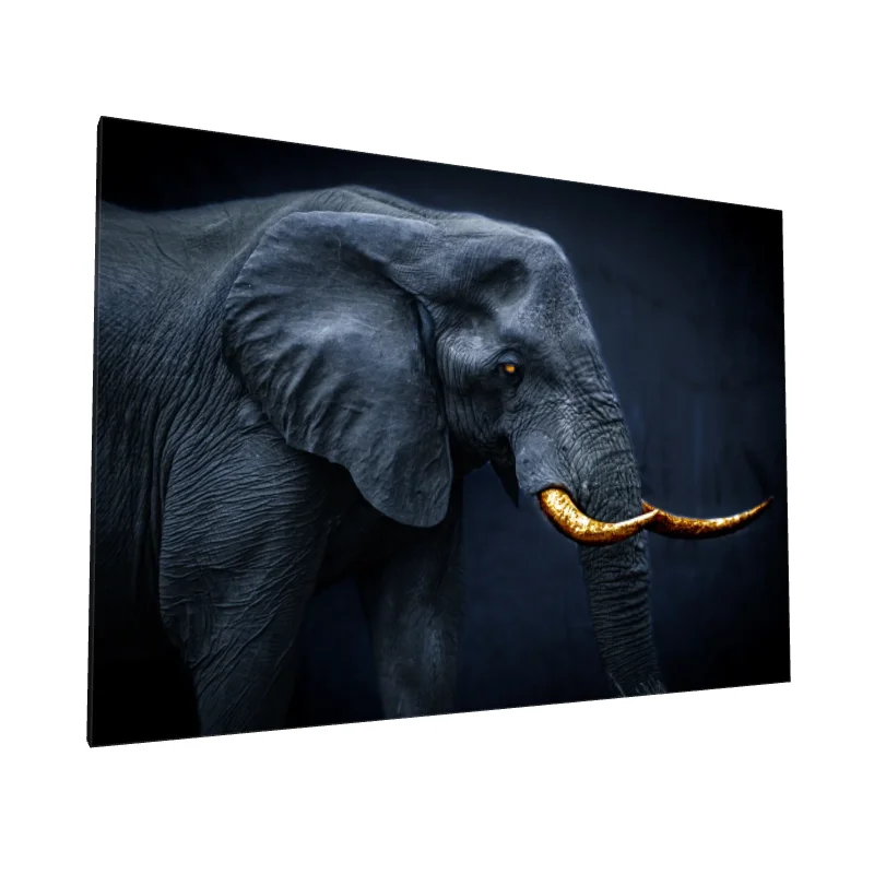 Tablou canvas: Elefant cu Colți Aurii pe Fundal Întunecat