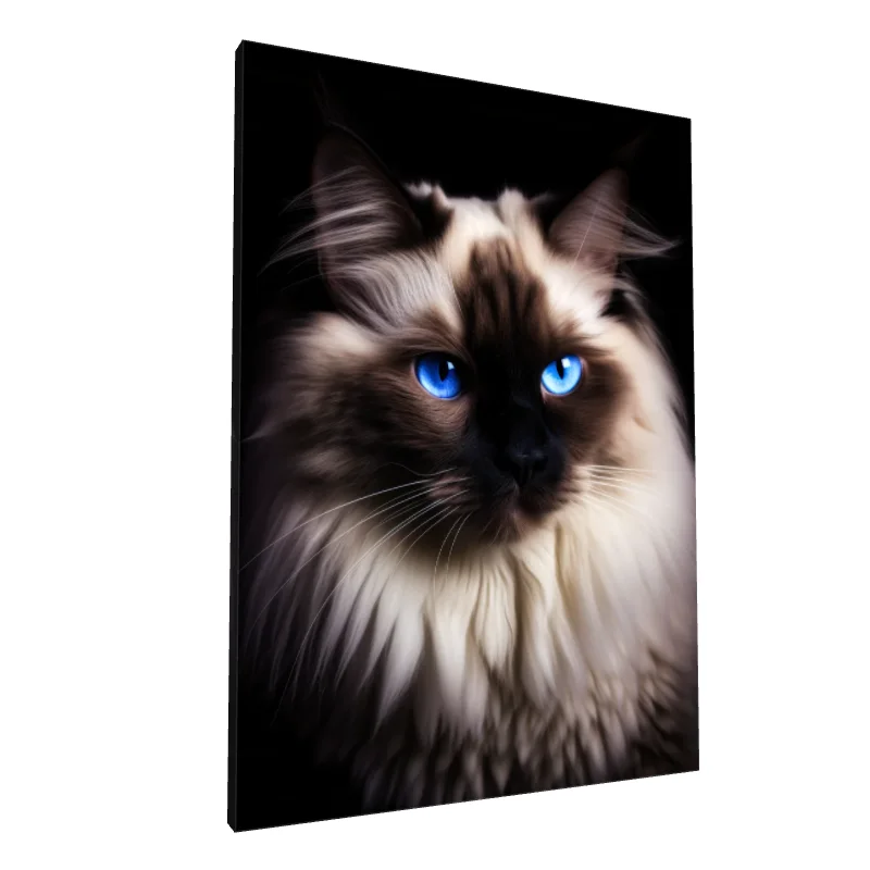 Tablou canvas: Portret Pisică cu Ochii Albaștri Intensi