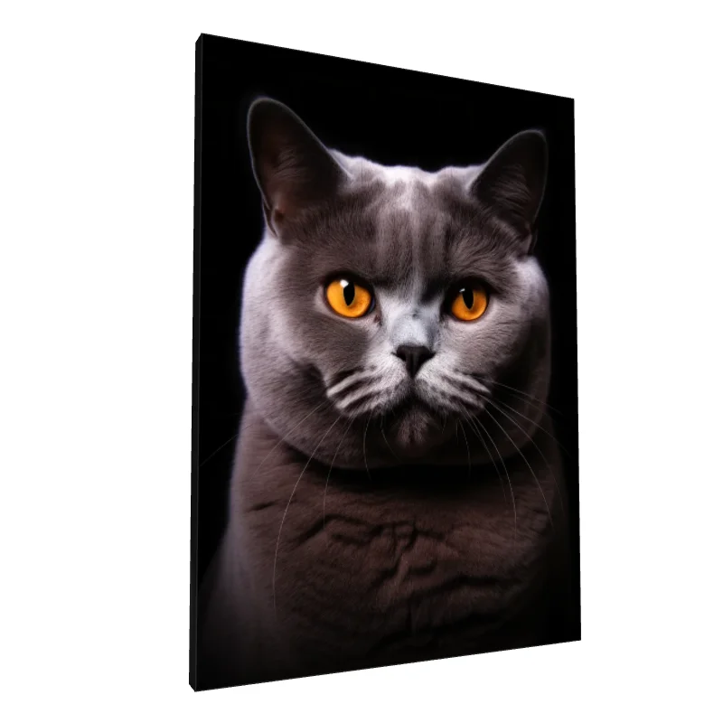 Tablou canvas: Portret Pisică cu Ochi Aurii