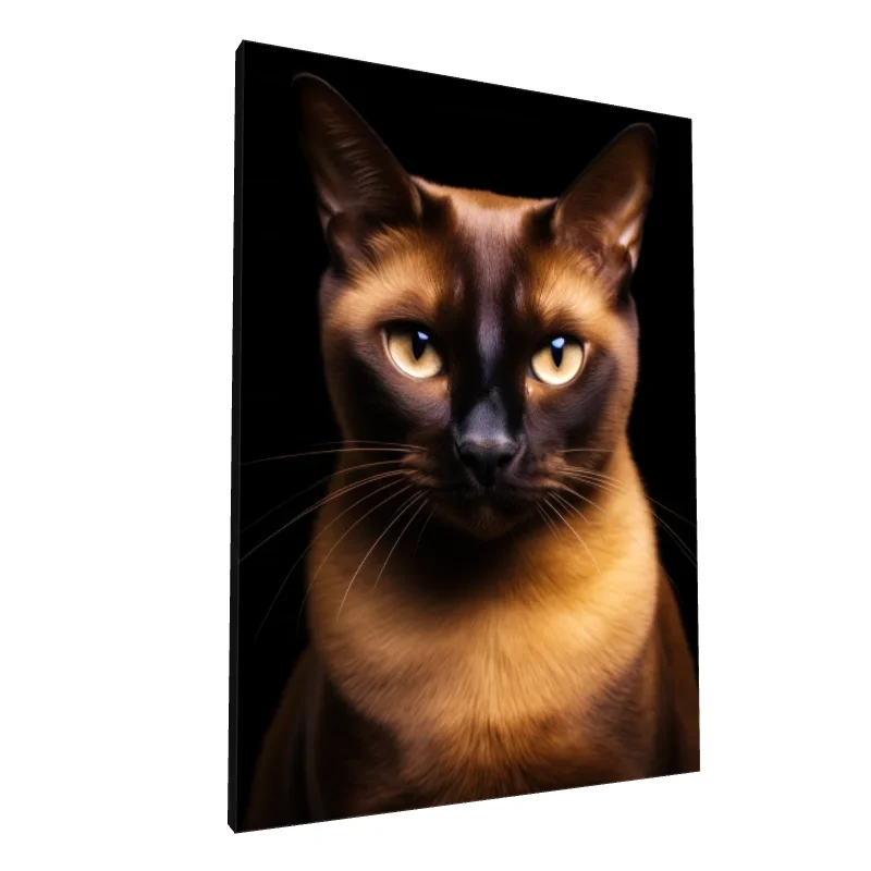 Tablou canvas: Portret Felin în Contrast Întunecat