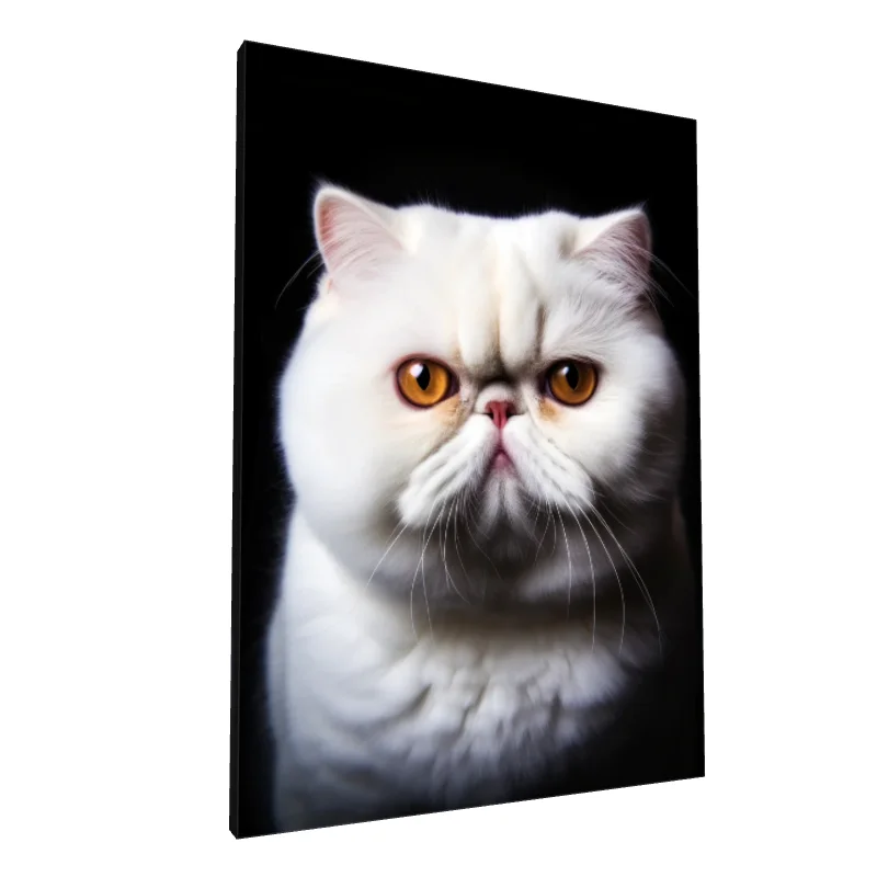 Tablou canvas: Portret Pisică Albă cu Ochi Aurii