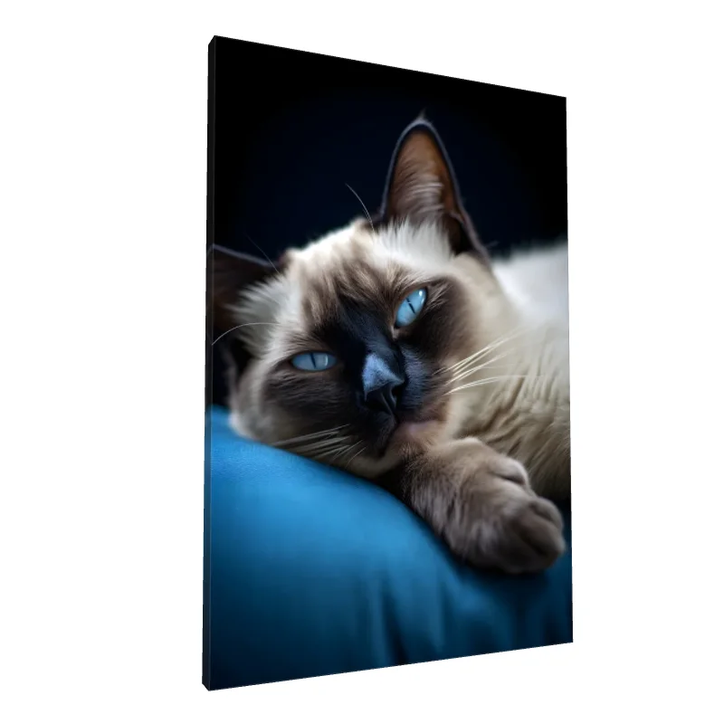 Tablou canvas: Portret Pisică cu Ochi Albaștri Hipnotizanți - Image 1