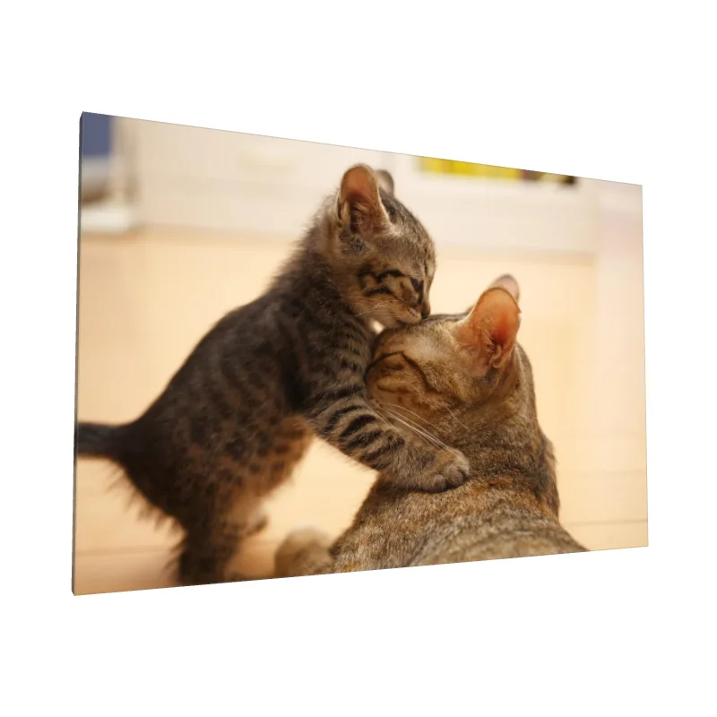 Tablou canvas: Pisoi Îmbrățișând Părinte - Image 1