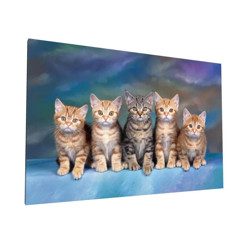 Tablou canvas: Pisici Jucăușe în Tonuri Calde - Image 1