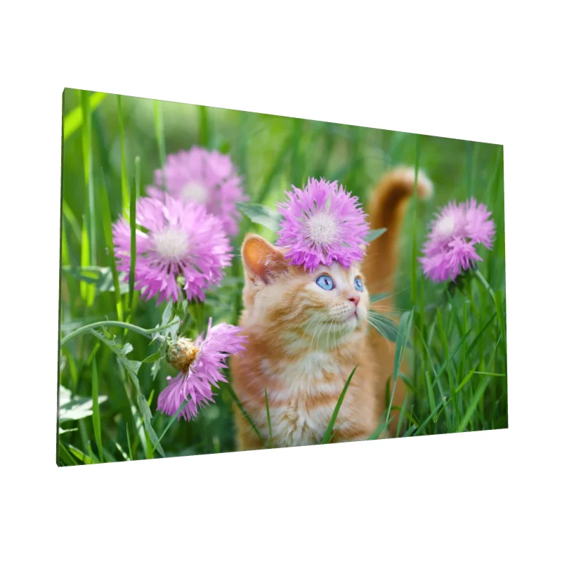 Tablou canvas: Pisicuță Roșcată cu Flori Roz