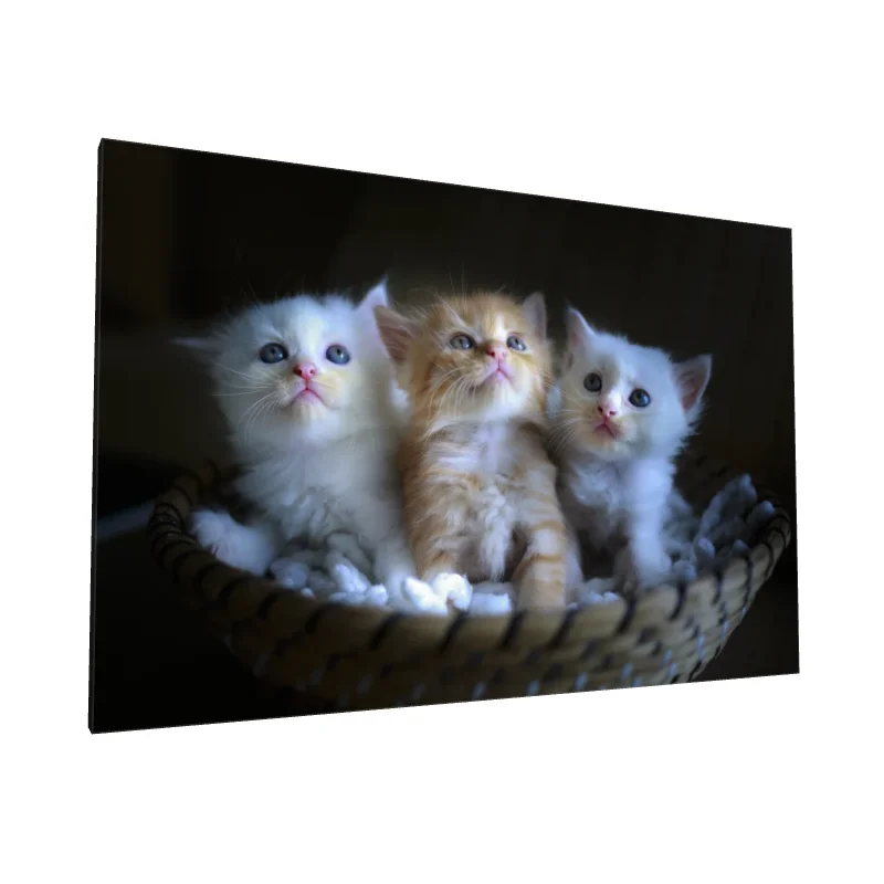 Tablou canvas: Pisoi Drăgălași în Coș de Paie