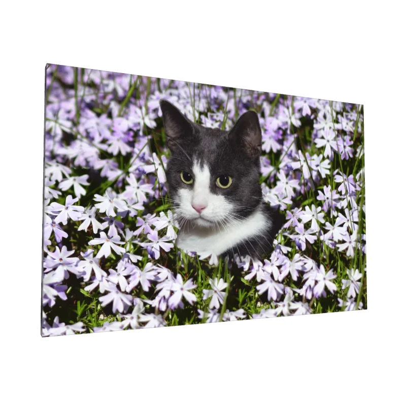 Tablou canvas: Pisică în Flori Mov - Image 1