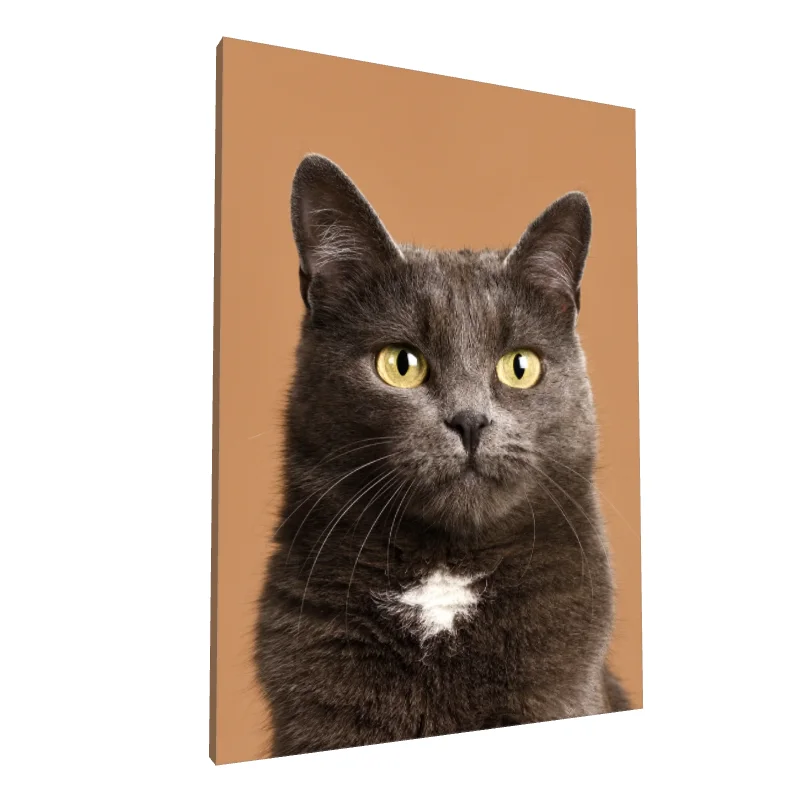 Tablou canvas: Portret Pisică pe Fundal Maro - Image 1