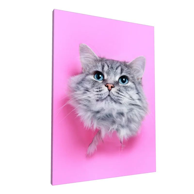 Tablou canvas: Portret Pisică cu Blană Gri pe Fundal Roz - Image 1