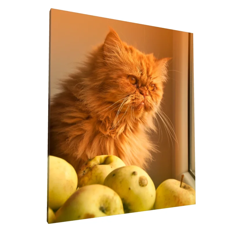 Tablou canvas: Pisică Roșcată Lângă Mere Verzi - Image 1