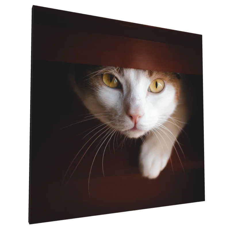 Tablou canvas: Portret Pisică Privind din Ascunzătoare - Image 1