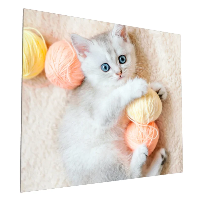 Tablou canvas: Pisicuță cu Ghemuri de Lână Colorate