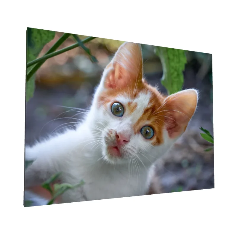 Tablou canvas: Pisică Curioasă Printre Frunze - Image 1