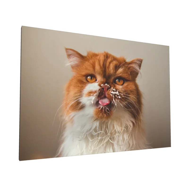 Tablou canvas: Pisică Roșcată cu Smântână pe Bot - Image 1