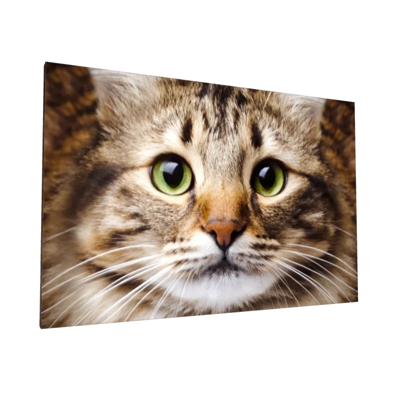 Tablou canvas: Portret Pisică cu Ochi Verzi 2 - Image 1