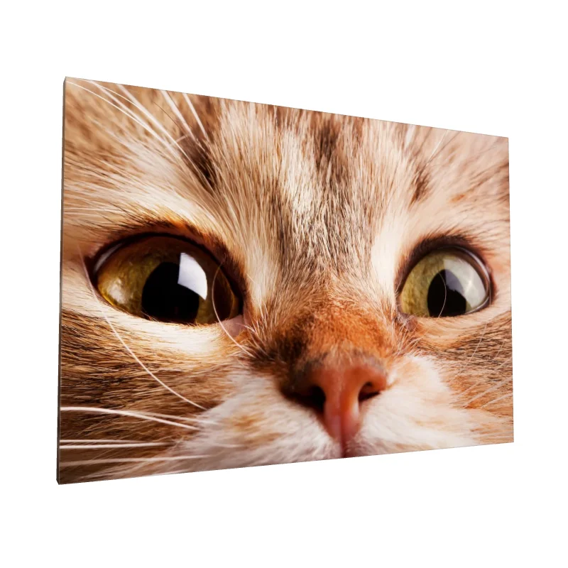 Tablou canvas: Prim-Plan Ochii Pisicii în Detaliu