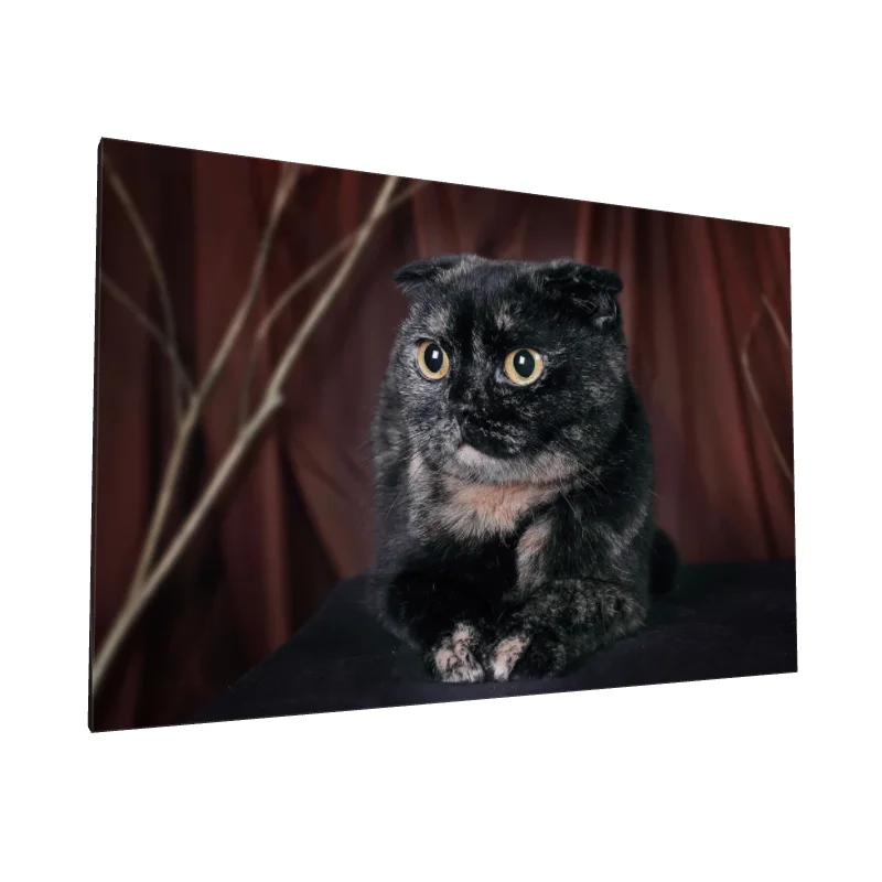 Tablou canvas: Pisică Neagră pe Fundal Maro - Image 1