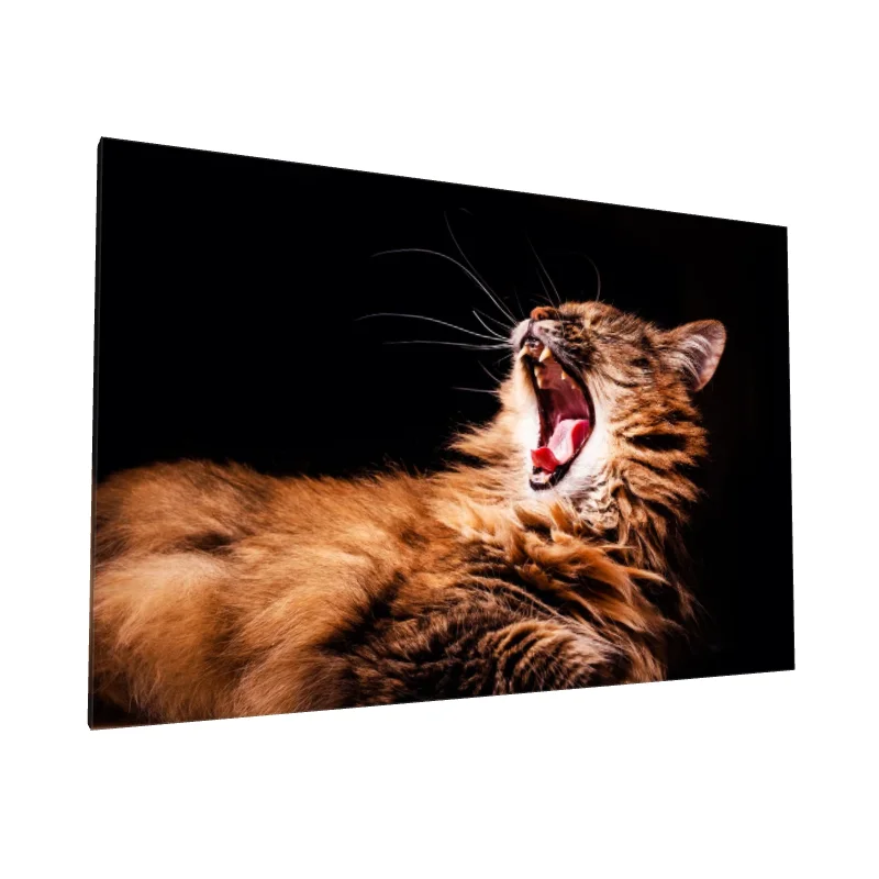 Tablou canvas: Pisică Căscând în Lumină Dramatică - Image 1