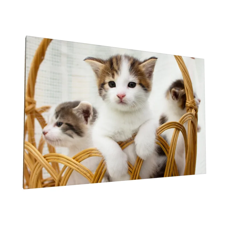 Tablou canvas: Pisoi Drăgălași într-un Coș Rustic - Image 1