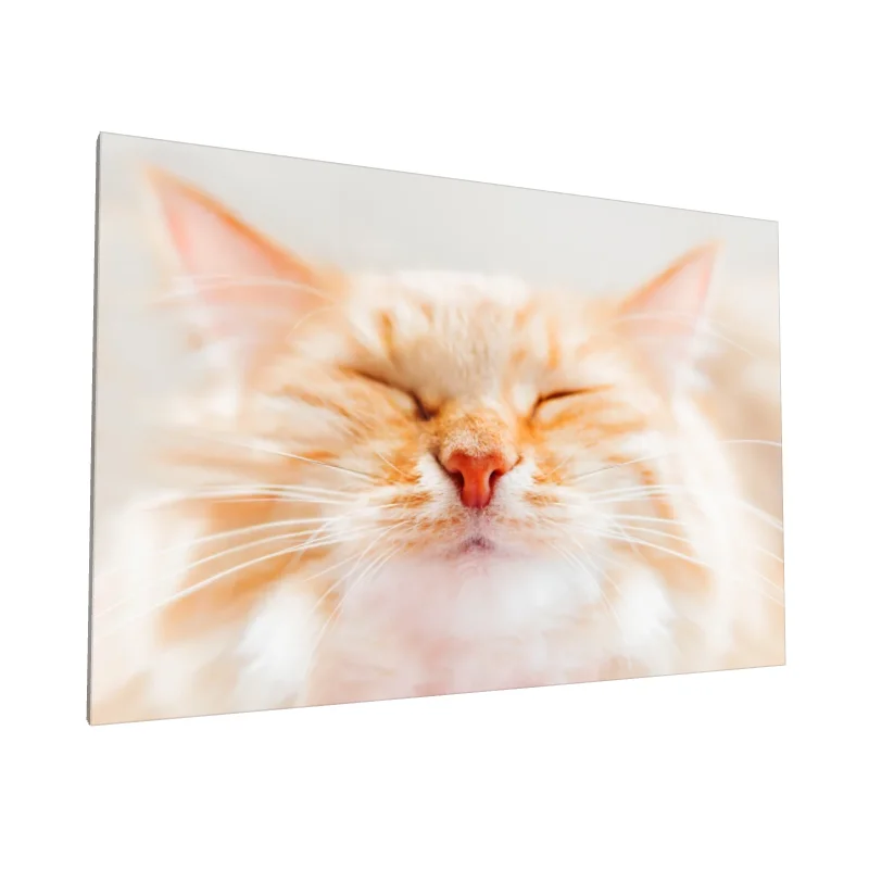 Tablou canvas: Portret de Pisică Adormită