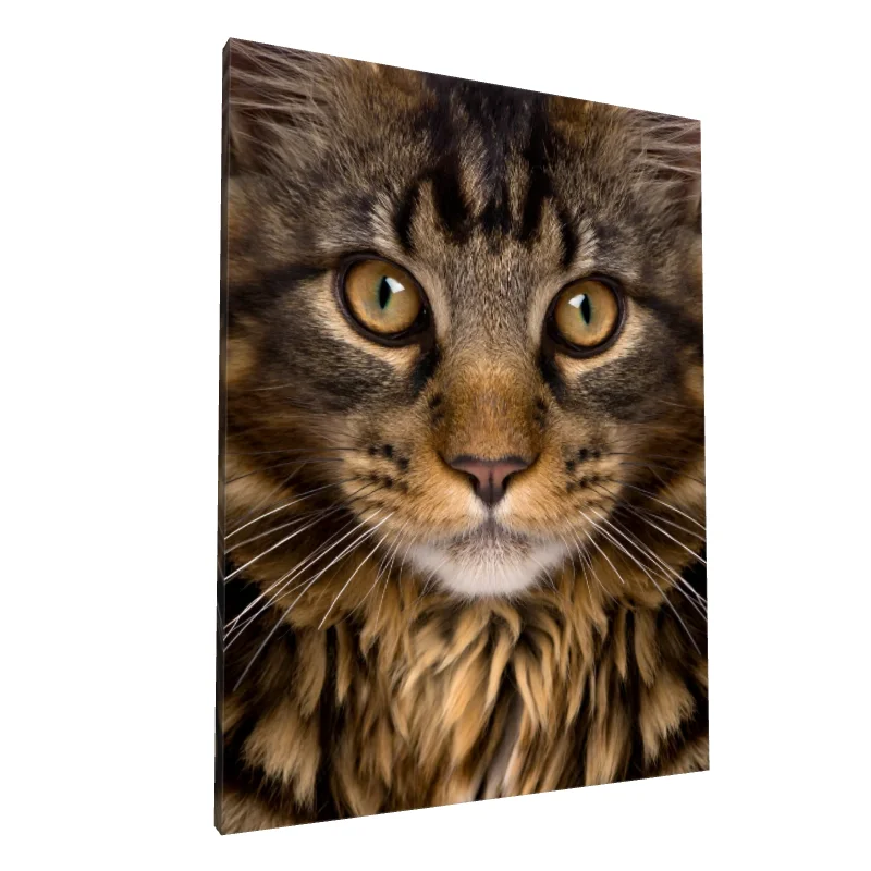 Tablou canvas: Portret Pisică în Detalii Realiste - Image 1