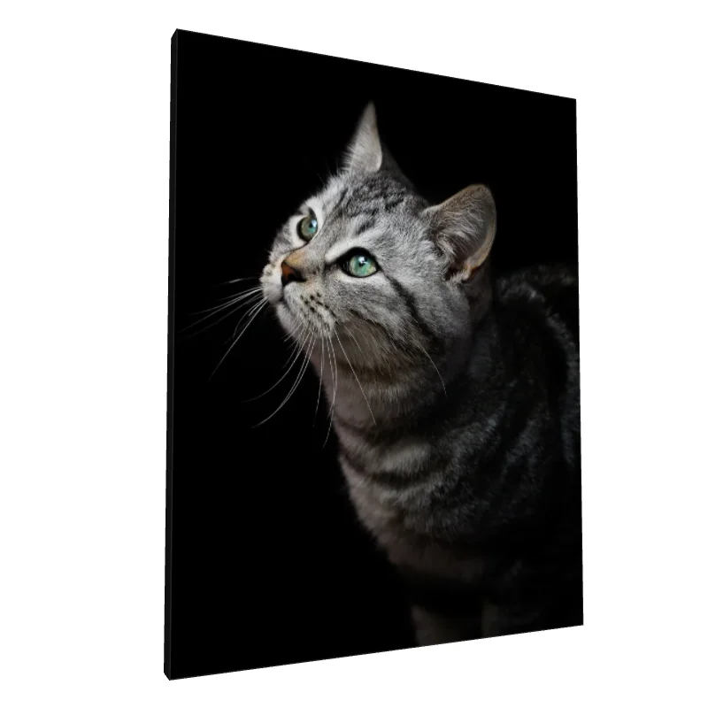 Tablou canvas: Portret Pisică cu Blană Tigrată (2)