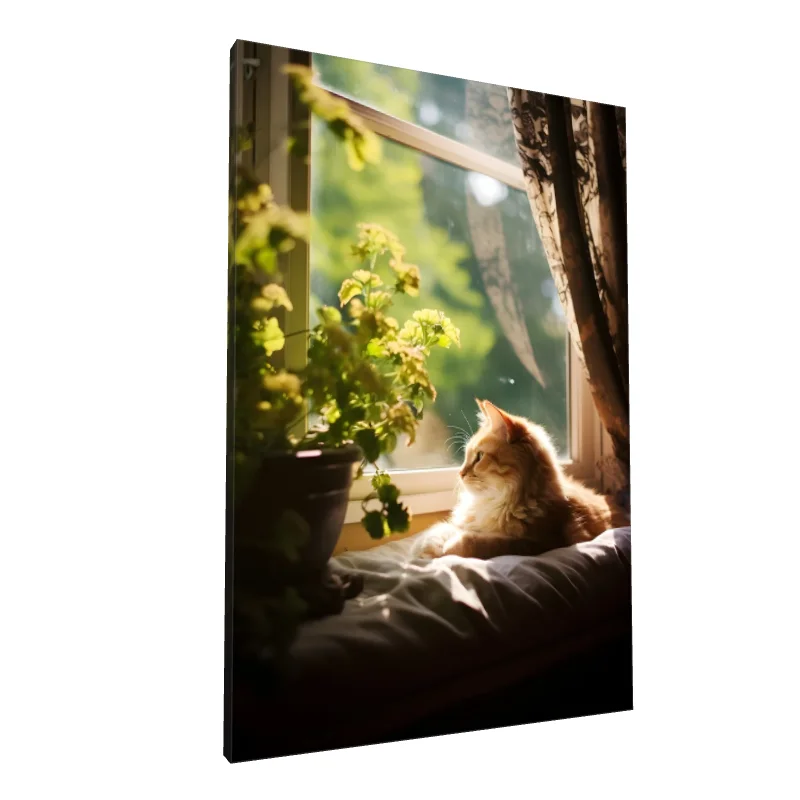 Tablou canvas: Pisică la Fereastra Însorită - Image 1